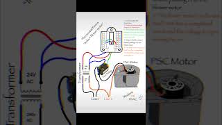 HVAC thermostat wiring basics [upl. by Devlen383]