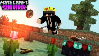 Minecraft Survival Series  69 [upl. by Curzon]