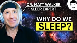 The Paradox of Sleep with Matthew Walker amp Neil deGrasse Tyson [upl. by Lobiv669]