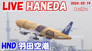 🔴LIVE at TOKYO HANEDA International Airport Plane Spotting 20240319 羽田空港ライブカメラ 羽田空港 HNDRJTT C滑走路 [upl. by Ardnahsal617]