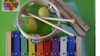 Instrumentos musicales para niños y sus sonidos Set de percusión 2 El xilófono [upl. by Ednew824]