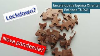 Novo Lockdown Entenda tudo sobre a encefalopatia equina oriental [upl. by Oruam]