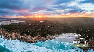 Bay of Fires Signature Walk  One of Australias Great Walks [upl. by Dymphia809]