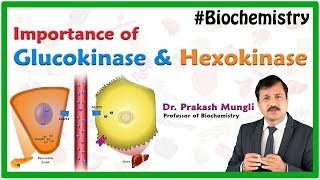 Hexokinase Vs Glucokinase  Medical Biochemistry By Dr Prakash Mungli [upl. by Morra]