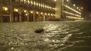 Maltempo acqua alta storica a Venezia Piazza San Marco sferzata da venti tempestosi [upl. by Graniela147]