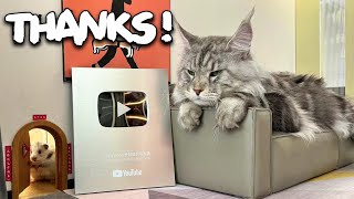 Thank You for the Silver Play Button Award [upl. by Astto]