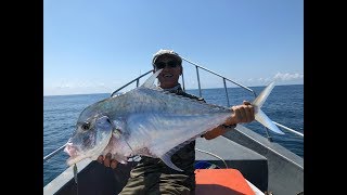 NO179 TREVALLY JIGGING AT RIAU ISLANDS Part 1 [upl. by Akimik665]