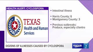 Dozens of people sick due to cyclospora parasite [upl. by Ecirtac]