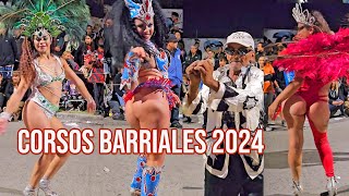 CARNAVAL ARGENTINA Barrial 2024 parte 10 [upl. by Plossl]