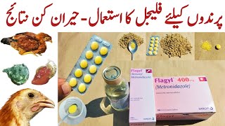 Metronidazole for Chickens and other Poultry Birds  Flagyl for Chickens  Dr ARSHAD [upl. by Hoppe]