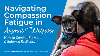 Navigating Compassion Fatigue in Animal Welfare How to Combat Burnout and Enhance Resiliency [upl. by Rego373]