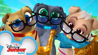 Crackly Crab 🦀  Music Video  Puppy Dog Pals Disney Junior [upl. by Suzzy762]