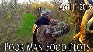 Midwest Whitetail  Food Plot Planting Tips  Affordable Food Plots [upl. by Atims]