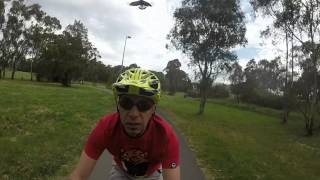 Swooping magpie testing on the bike at Lake Ginninderra [upl. by Coombs64]