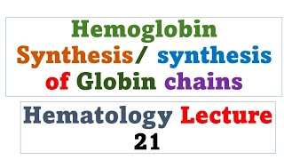 Hemoglobin Synthesis Globin synthesis  Hematology lecture 21 [upl. by Semreh220]