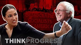 Democratic Socialism explained [upl. by Akinam]