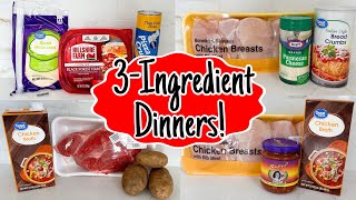 The BEST 3Ingredient Recipes  QUICK amp EASY DINNER IDEAS  Fast Tasty Simple Meals  Julia Pacheco [upl. by Tiernan]