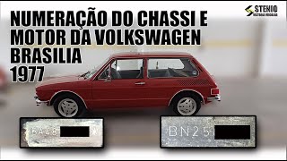 Local e padronização da numeração do chassi e motor da Volkswagen Brasília 1977 [upl. by Rawna125]