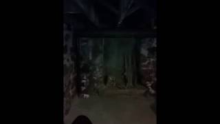 Our Ghost Tour To Ogden Utah 25th Street Under Ground Tunnel [upl. by Aylsworth]