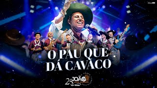 O Pau Que Dá Cavaco  João Luiz Corrêa amp Grupo Campeirismo  DVD 25 anos de Carreira 4k 2024 [upl. by Ahsikan]