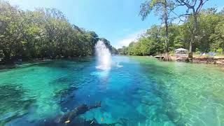 Cypress Springs Kayak Tour  Panama City Beach Florida Travel Vlog [upl. by Aelrac815]