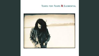 Tears For Fears  Mr Pessimist Lyrics [upl. by Euqram]