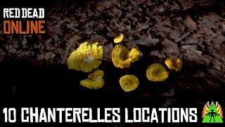 Red Dead Redemption 2 ONLINE  CHANTERELLES LOCATIONS [upl. by Nauqram60]