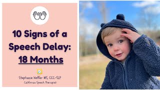 10 Signs of a Speech Delay at 18 months Learn the key milestones from a licensed speech therapist [upl. by Rosaleen366]