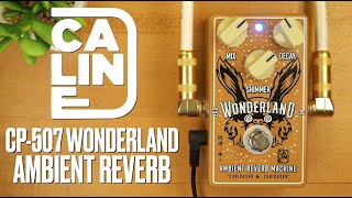 Caline CP508 Wonderland Ambient Reverb Machine [upl. by Eednil]