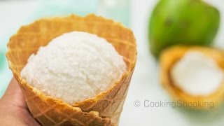 Tender Coconut Ice Cream Recipe  Natural Style  NoEggs NoIce Cream Maker [upl. by Niu719]