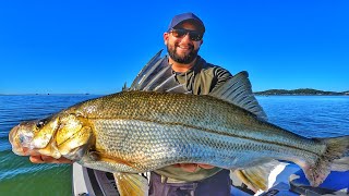 ROBALO PEVA GIGANTE Fui comemorar os 100 mil inscritos Pescaria de robalos [upl. by Katonah]