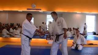 Nariyama Shihan  Teaching 8 Basic Wrist Grips [upl. by Brittni]