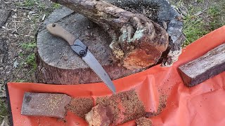 Silky Outback Fatwood Testing and VR to Dan at Ochoco Bushcraft [upl. by Lore]