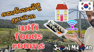 කොරියාවේ කම්පැනි පහසුකම් SeoulMachan epstopic koreanvlog e9visa [upl. by Atikram507]