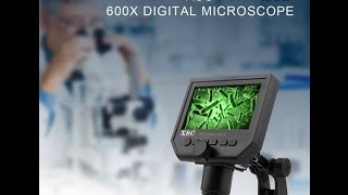 G600 Digital Portable 1600X 36MP Microscope Continuous Magnifier with 43inch HD OLED Display [upl. by Guss]