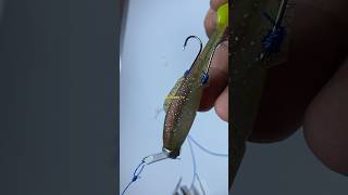 JIG HEADS  SOFT BAIT shortvideo fishingtutorial fishingtips fishingbait [upl. by Ennyl348]