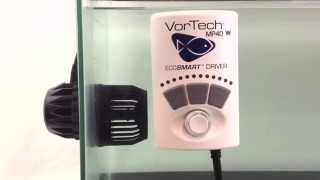 EcoTech Setting up a VorTech MP40 Aquarium Pump  Big Als [upl. by Trey]