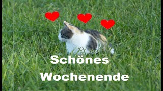 Schönes Wochenende Grüße 🌞🌷 [upl. by Schilt]