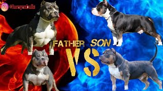 Would you Breed to the Father or the Son [upl. by Berghoff311]