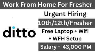 Ditto Work From Home Jobs  Ditto Work From Home  WFH Jobs  Online Jobs For Freshers  Remote Jobs [upl. by Dante405]