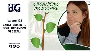 CARATTERISTICHE degli ORGANISMI VEGETALI  INTRODUZIONE alla BOTANICA [upl. by Akienat]