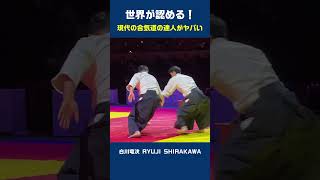 Amazing Aikido master [upl. by Llertal]