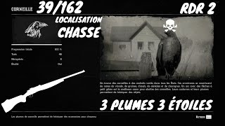 Tout Les Animaux 39162 La Corneille Localisation Red Dead Redemption 2 [upl. by Tolmann442]