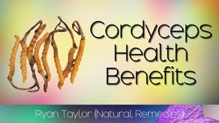 Cordyceps Benefits for Health [upl. by Hallette]