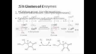 Biochemistry 94 Enzyme classification [upl. by Eiznekcam]