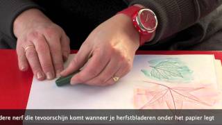 Te Gekke creatie met bladeren [upl. by Neerbas]