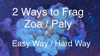 2 Ways to Frag Zoanthids  Palythoas  Zoa  Paly Fragging Saltwater Coral Reef Aquarium [upl. by Viviyan]