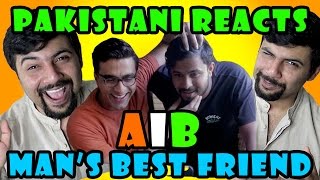 Pakistani Reacts to AIB Mans Best Friend [upl. by Carvey]