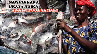 ANZA KUFUGA SAMAKI UTAJIRIKE UFUGAJI WA SAMAKI KWENYE MABWAWA [upl. by Nayrb]