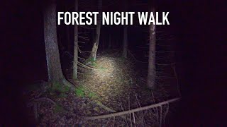 Scary Forest in Sweden  Night Walk 4K ASMR [upl. by Neelsaj]